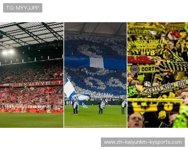 草根德甲球队：低级别球队的成长与挑战